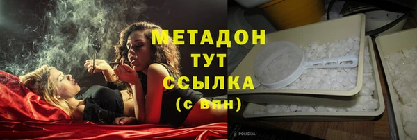 ГАЛЛЮЦИНОГЕННЫЕ ГРИБЫ Покровск