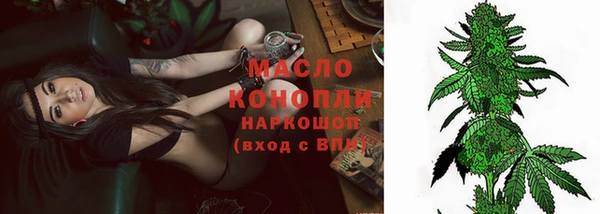 прущие грибы Покров